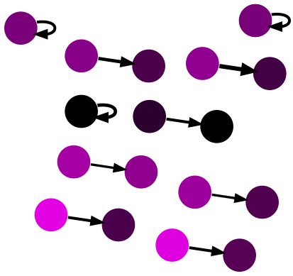 A network graph showing the 10 highest weighted edges